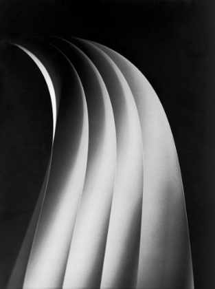 Picture of PAPER CURVES