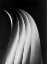 Picture of PAPER CURVES