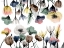 Picture of FLORAL PLEASURES 1