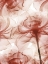 Picture of GENEROUS DREAM 1