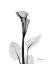 Picture of CALLA LILY