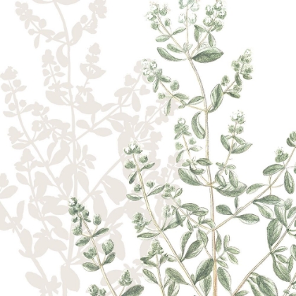 Picture of BOTANICAL SAGE AND WHITE 1 V2