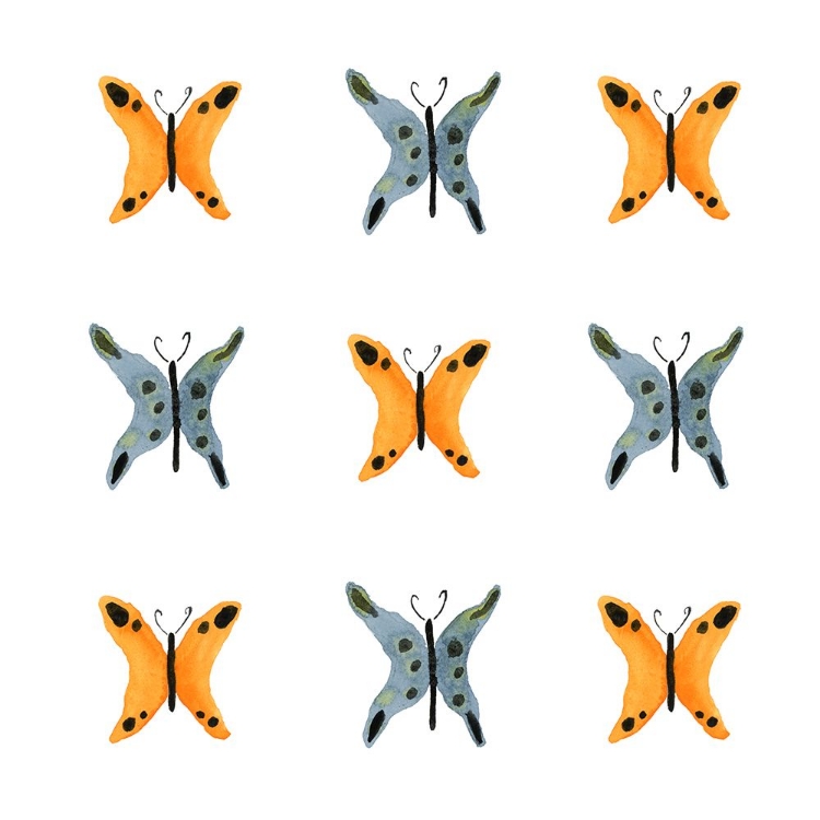 Picture of BUTTERFLIES