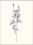 Picture of FLORAL ART 2