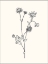 Picture of FLORAL ART 4