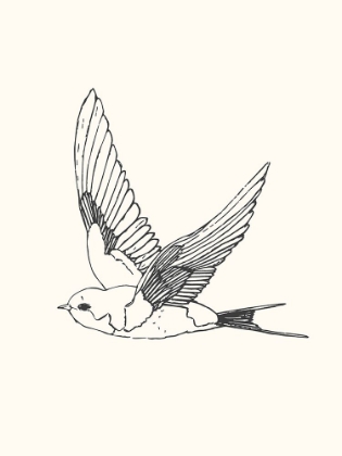 Picture of BIRD SKETCH SWALLOW 1