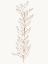 Picture of SPICE UP YOUR LIFE BOTANICAL OUTLINE 1
