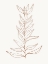 Picture of SPICE UP YOUR LIFE BOTANICAL OUTLINE 2
