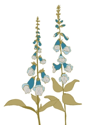 Picture of BOTANICAL FOXGLOVE