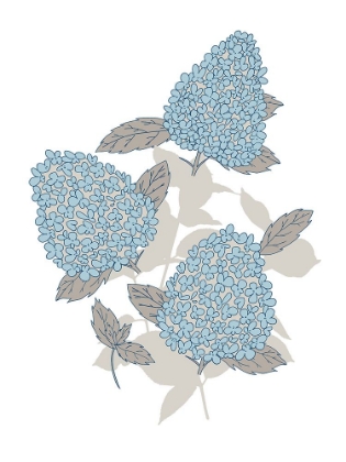 Picture of BOTANICAL HYDRANGEA