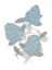 Picture of BOTANICAL HYDRANGEA