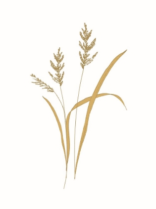 Picture of FIELD GRASS GOLD 1