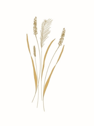 Picture of FIELD GRASS GOLD 2