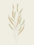 Picture of WILD GRASS ARTS AND CRAFTS