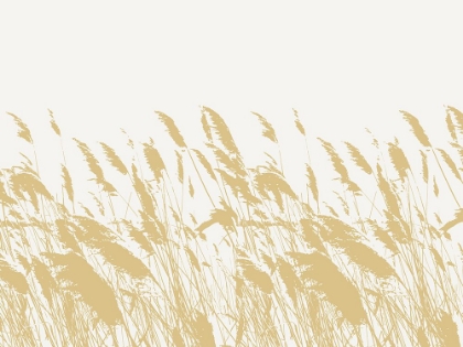 Picture of WILD GRASSES IN THE WIND