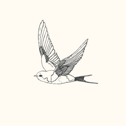 Picture of BIRD SKETCH SWALLOW 1