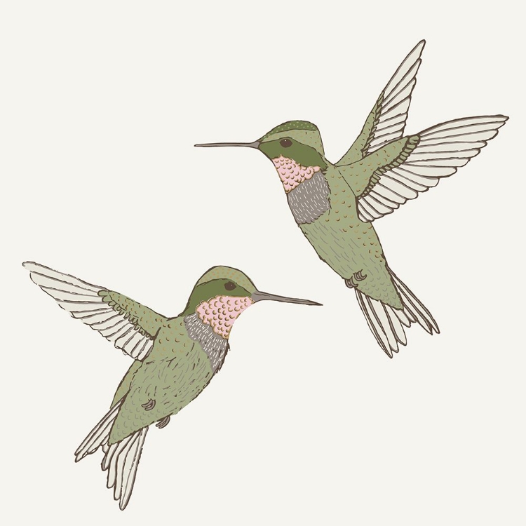 Picture of HEIRLOOM HUMMINGBIRDS