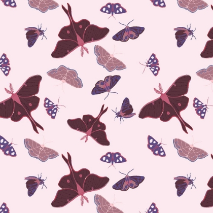 Picture of BUTTERFLIES IN FLIGHT PATTERN