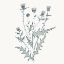 Picture of FRIENDLY FRESH THISTLE
