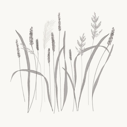 Picture of TEXTURED CALM WILD GRASSES