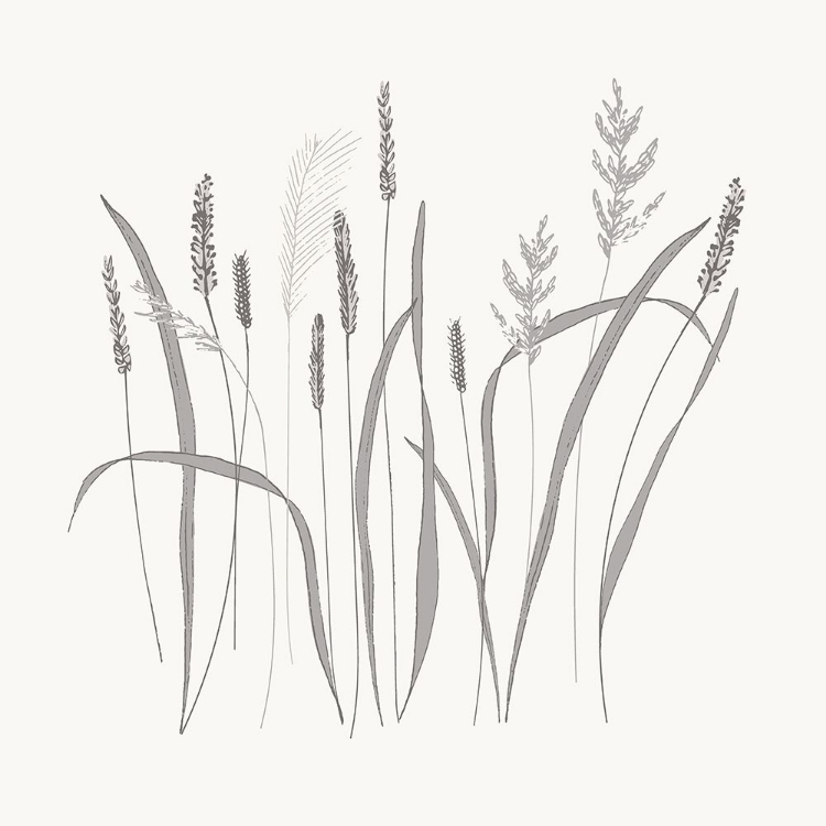 Picture of TEXTURED CALM WILD GRASSES