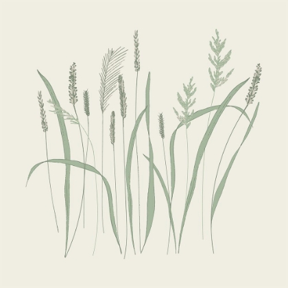 Picture of SWAYING FIELD GRASS