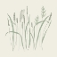 Picture of SWAYING FIELD GRASS