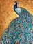 Picture of BIGGER PEACOCK