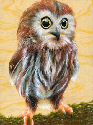 Picture of OWL