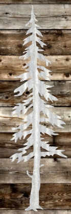 Picture of SPRUCE 1