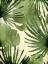 Picture of JUNGLE PALMS 1
