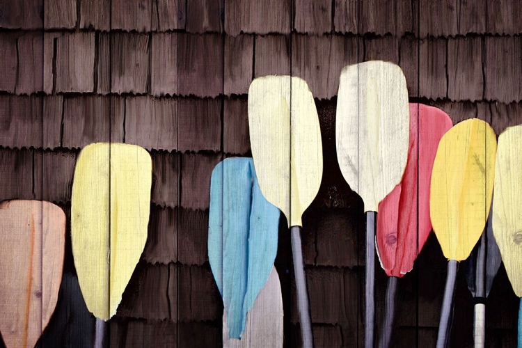 Picture of COLORFUL PADDLES