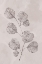 Picture of SPOTTED BOTANICAL CALM 3