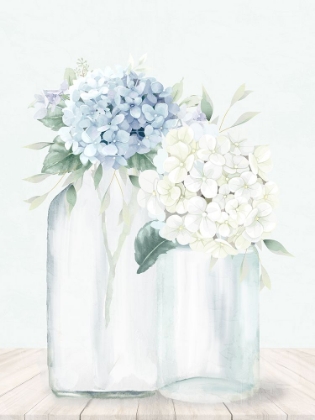 Picture of HYDRANGEAS 1