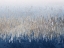 Picture of WAVES OF BLUE