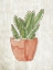 Picture of SPRING CACTUS 1