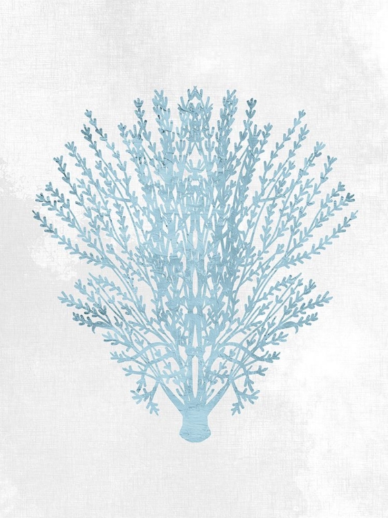 Picture of CORAL BLUE 1