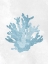 Picture of CORAL BLUE 2