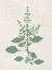 Picture of LINEN BRANCHES 3