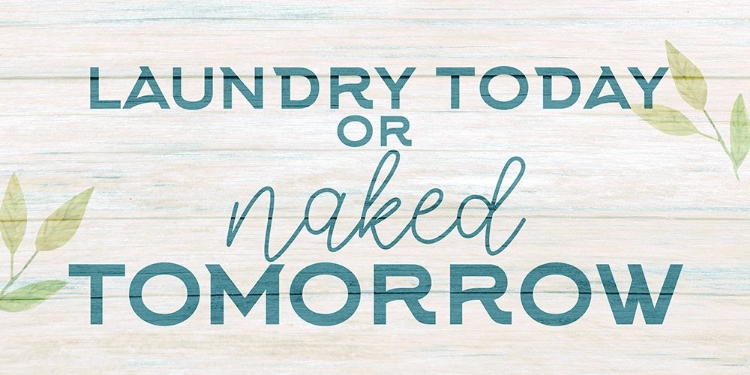 Picture of LAUNDRY OR NAKED V2