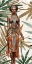 Picture of TRIBAL DRESS 2