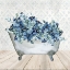 Picture of BLUE BATH 1 V2