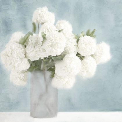 Picture of WHITE HYDRANGEAS