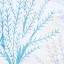 Picture of SEAWEED TONE 2
