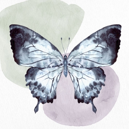 Picture of BUTTERFLY WATERCOLOR 1
