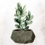 Picture of SIMPLISTIC 1
