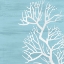 Picture of BLUE SEAWEED 2