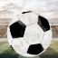 Picture of SPORTING 4