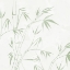 Picture of BAMBOO REEDS 1