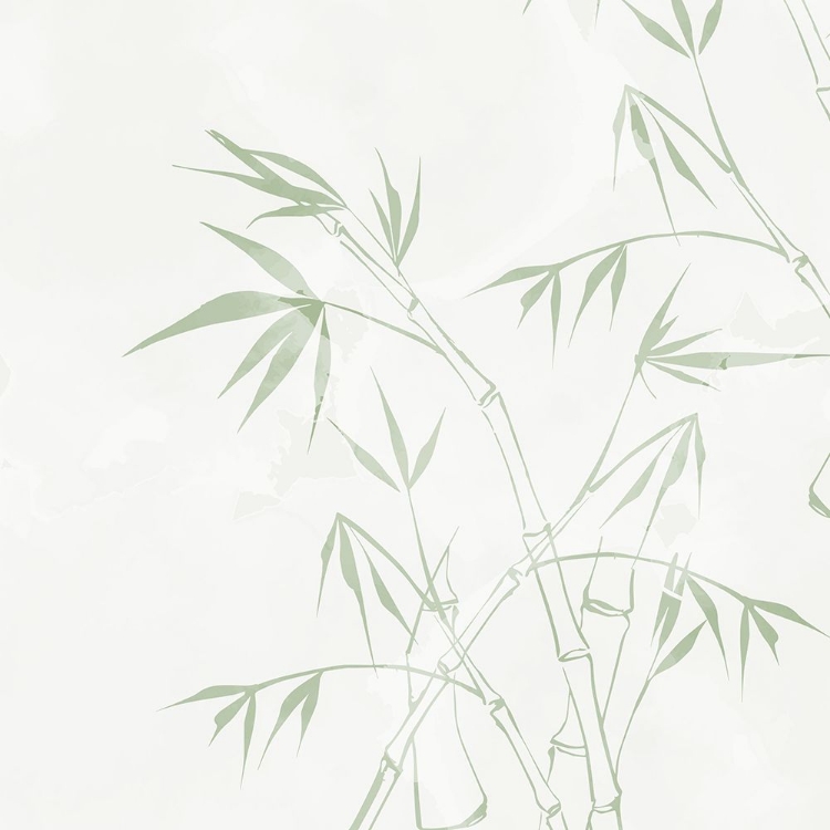 Picture of BAMBOO REEDS 2